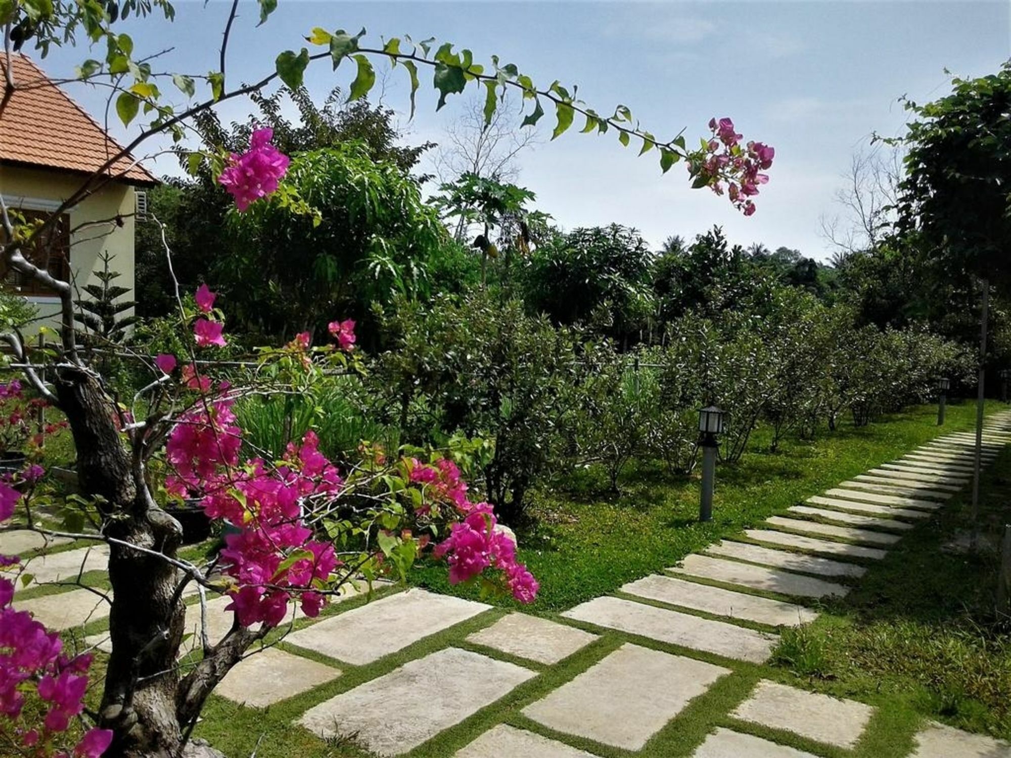 Spring Garden Homestay Phu Quoc Exterior photo