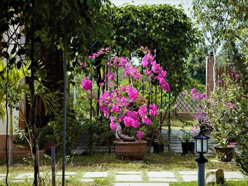 Spring Garden Homestay Phu Quoc Exterior photo