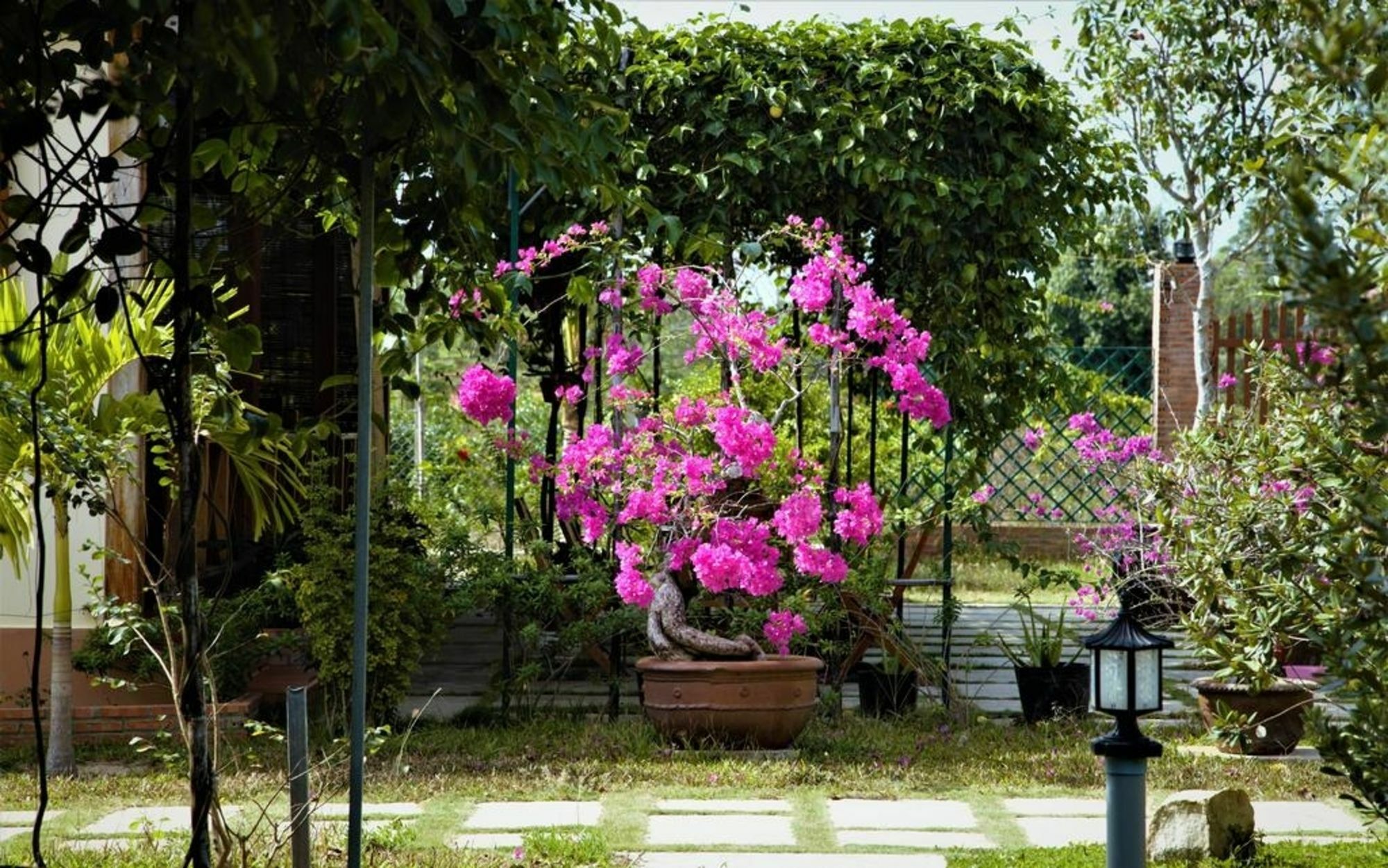 Spring Garden Homestay Phu Quoc Exterior photo