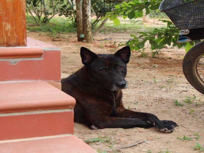 Spring Garden Homestay Phu Quoc Exterior photo