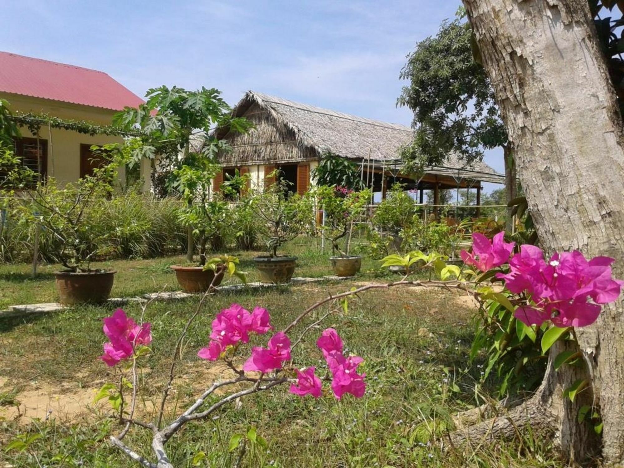 Spring Garden Homestay Phu Quoc Exterior photo