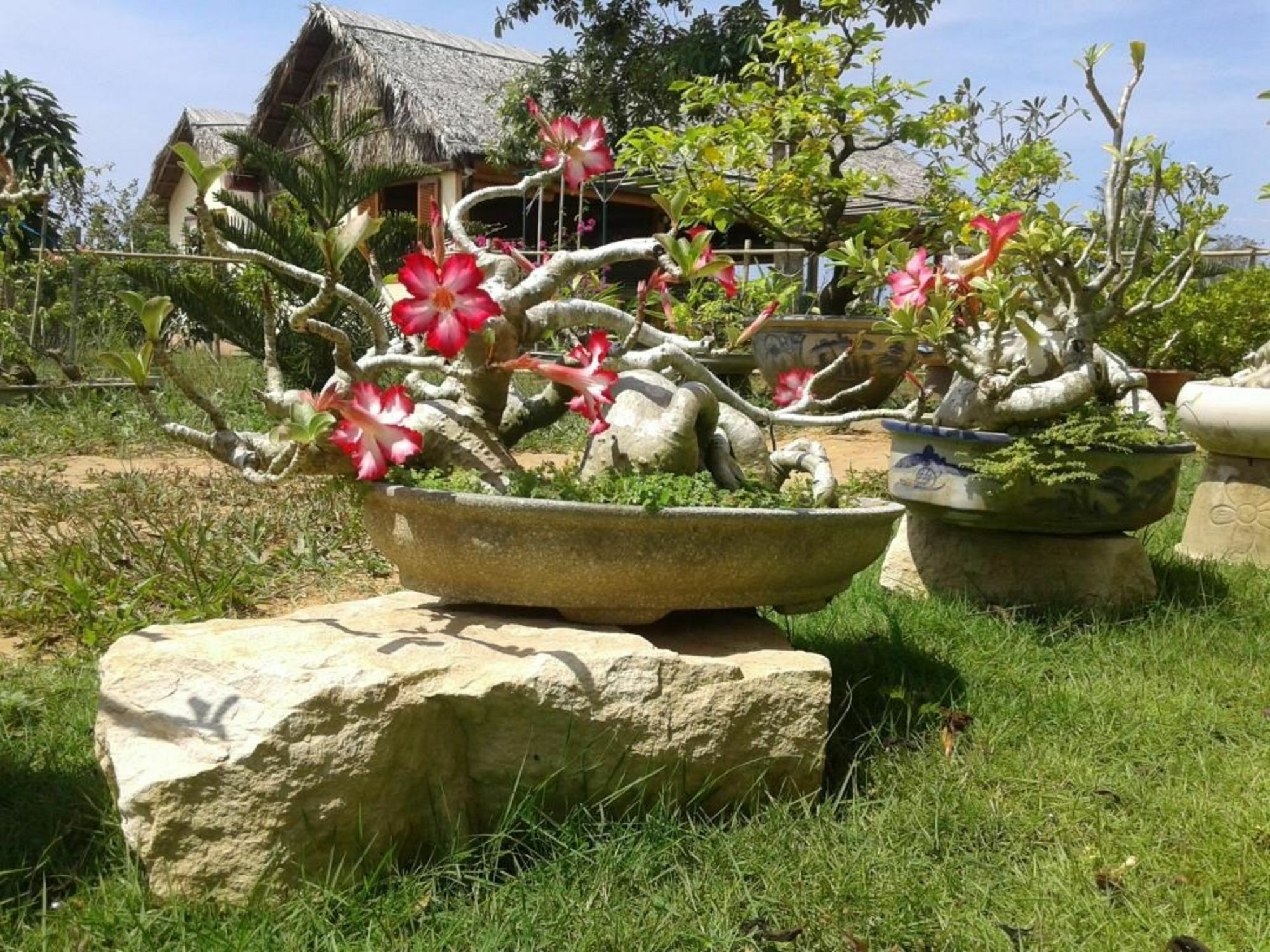 Spring Garden Homestay Phu Quoc Exterior photo